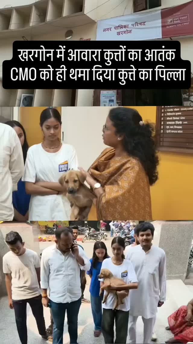 खरगोन में आवारा कुत्तों के बढ़ते आतंक के विरोध में युवाओं ने नगर पालिका CMO कमला कौल को पिल्ला सौंपकर कुत्तों को पकड़ने का अभियान चलाने की मांग की #digiananews #khargone