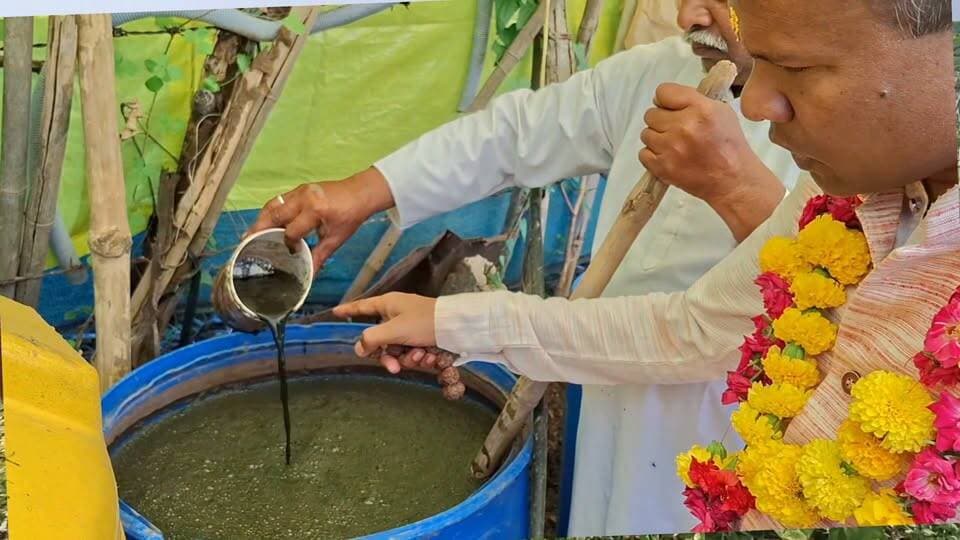 मात्र 4माह में TCBT फार्मूले से पॉम का पौधा हरा कच्च हो गया
TCBT किसान
गेंदलाल देवांगन
डोंगर गढ़ राजनांदगांव छत्तीसगढ़
प्रति एकड़ tcbt फार्मूले और डोज
हाई CN रेशियों घोल 200लीटर
फालघुट्टी 200लीटर
ऊर्जा जल 500लीटर
जीवाणु जल 500लीटर
अन्न द्रव्य रसायन 200लीटर
ये सब फार्मूले अपने घर पर बनाकर डाले
और छत्तीसगढ़ में बेहतर पॉम का फॉर्म बना लिया