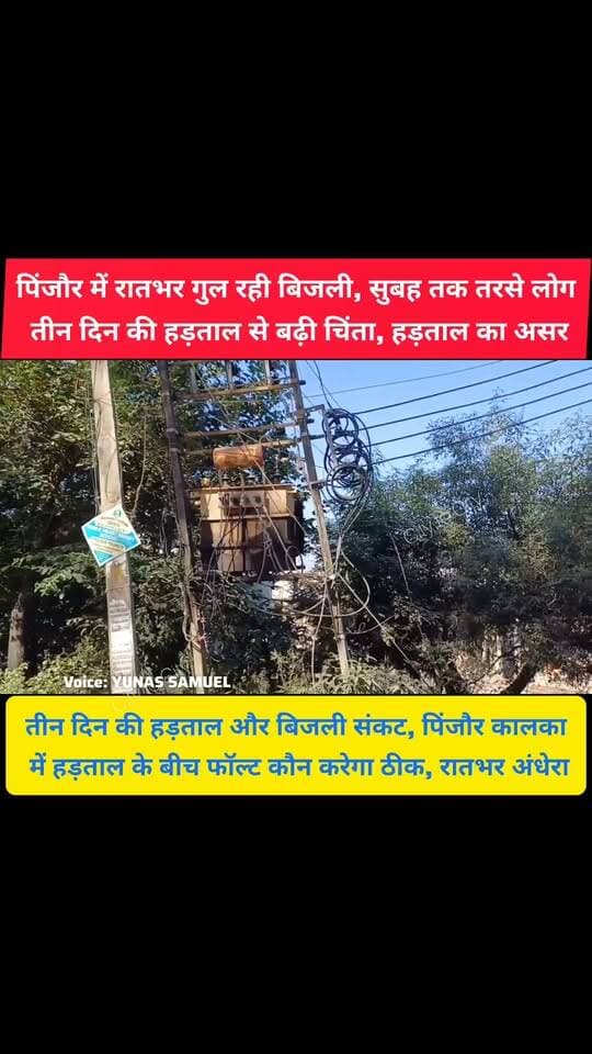 बिजली कर्मचारी हड़ताल पर, जनता अंधेरे में, पिंजौर में आखिर होगा क्या
रातभर बिजली गुल, जनता बेहाल, पिंजौर में हड़ताल के बीच बड़ा संकट
#pinjore #kalka #panchkula #haryana #HaryanaNews #news #parwanoo #panchkulanews #HaryanaNewsUpdate #uhbvn #hadtal #बिजलीगुल