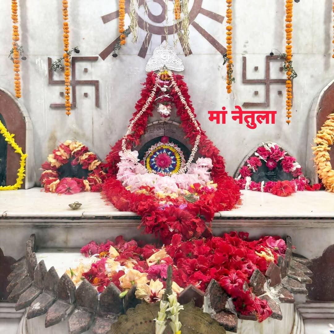 संध्या बेला में कीजिए प्रसिद्ध मां नेतुला मंदिर में माता रानी के दिव्य दर्शन।
<nis:link nis:type=tag nis:id=मांनेतुला nis:value=मांनेतुला nis:enabled=true nis:link/> <nis:link nis:type=tag nis:id=maanetula nis:value=MaaNetula nis:enabled=true nis:link/> <nis:link nis:type=tag nis:id=jamui nis:value=Jamui nis:enabled=true nis:link/> <nis:link nis:type=tag nis:id=sikandra nis:value=Sikandra nis:enabled=true nis:link/> <nis:link nis:type=tag nis:id=apnajamui nis:value=apnajamui nis:enabled=true nis:link/> <nis:link nis:type=tag nis:id=जयमातादी nis:value=जयमातादी nis:enabled=true nis:link/>
