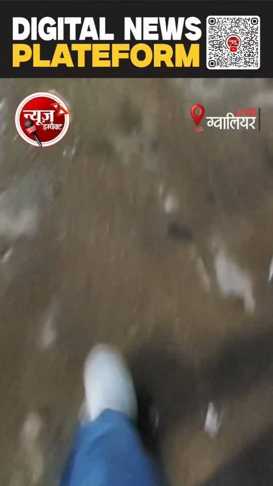 आबकारी विभाग और पुलिस विभाग की लाख कोशिशों के बावजूद भी शराब का अवैध धंधा जोरों पर, बच्चों को भी इस काले धंधे में धकेल रहे शराब माफिया देखें वीडियो
#newsimpact #GwaliorCrime #crimenews