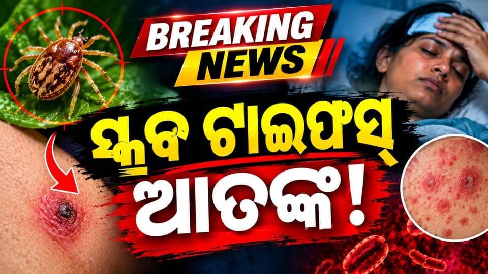 ସ୍କ୍ରବ ଟାଇପିସ ଆତଙ୍କ
#ScrubTyphus
#ScrubTyphusAlert
#HealthNews
#OdishaNews
#OdishriLiveNews