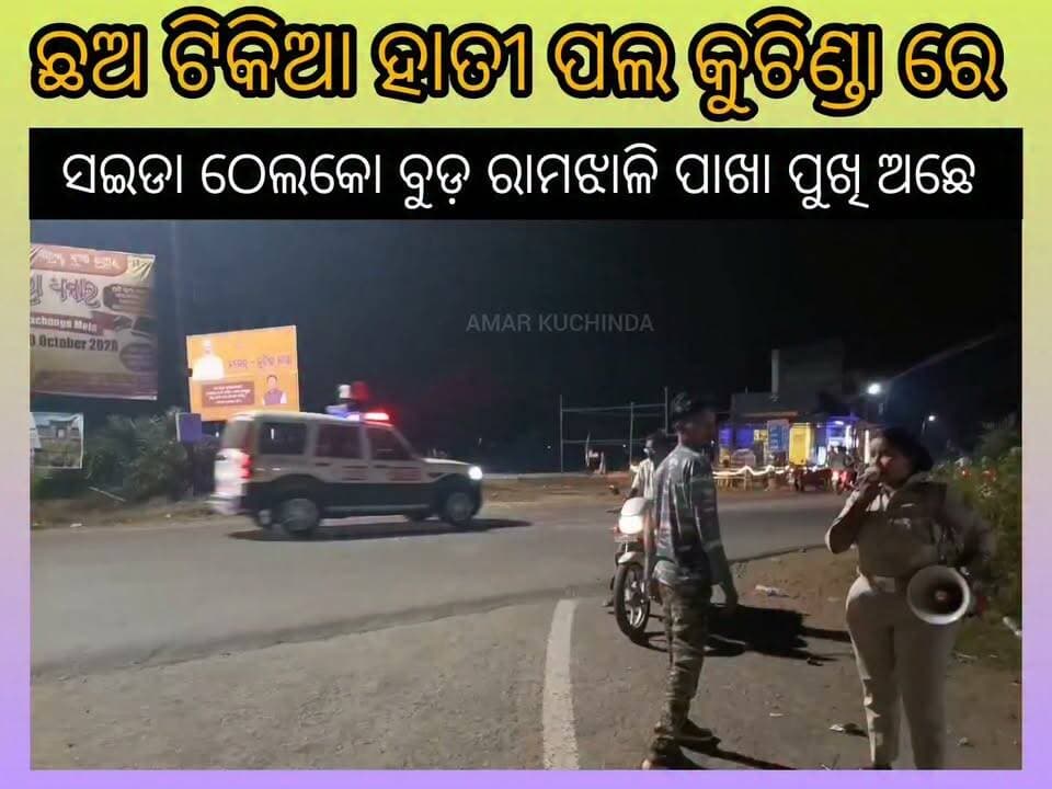 କୁଚିଣ୍ଡା ଅଞ୍ଚଳ ରେ ଛଅ ଟିକିଆ ହାତୀ ପଲ...
#elephant #ᴠɪʀᴀʟᴘᴏsᴛ #newsfeed #breakingnews #sambalpur