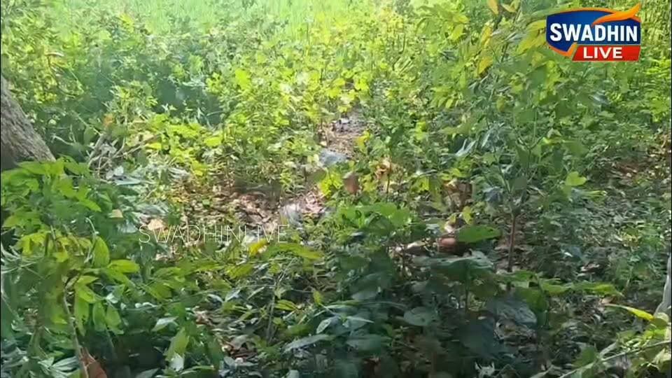 ମା’ଙ୍କ ଆରାଧନାରେ ସାରା ସହର ମଗ୍ନ ଥିବାବେଳେ, ଜଳେଶ୍ୱରରୁ ଆସିଛି ଏକ ଛାତିଥରା ଖବର। ସୁରଭି କାର୍ଯ୍ୟକ୍ରମ ପାଇଁ ସ୍କୁଲ ଯାଇ ନିଖୋଜ ଥିବା ଜଣେ ନାବାଳିକାଙ୍କ ଗଳିତ ମୃତଦେହ ୫ ଦିନ ପରେ ଏକ ପରିତ୍ୟକ୍ତ ସ୍ଥାନରୁ ଠାବ ହୋଇଛି। ବେକରେ ଲୁଗା ବନ୍ଧା ହୋଇଥିବା ଦେଖିବାକୁ ମିଳିଥିବାବେଳେ ପରିବାର ପକ୍ଷରୁ ଦୁଷ୍କର୍ମ ପରେ ହତ୍ୟା ଅଭିଯୋଗ ଅଣାଯାଇଛି।
#Jaleswar #OdishaNews #NakshatraNews #JusticeForMinor #CrimeNews #JaleswarPolice