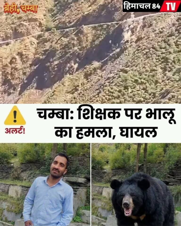 🚨 चम्बा के ब्रेही में मादा भालू का हमला, ड्यूटी पर जा रहे शिक्षक राजेश कुमार घायल
भताल गांव में दहशत का माहौल, पंचायत प्रधान किशोरी लाल ने वन विभाग से भालू को पकड़ने और गश्त बढ़ाने की मांग की।
चम्बा जिला के मैहला ब्लॉक की ग्राम पंचायत ब्रेही के भताल गांव में वीरवार सुबह उस समय दहशत फैल गई, जब स्कूल में ड्यूटी पर जा रहे शिक्षक राजेश कुमार पर अपने बच्चे के साथ मौजूद मादा भालू ने हमला कर दिया। घायल शिक्षक को उपचार के लिए मेडिकल कॉलेज चम्बा पहुंचाया गया है। घटना के बाद वन मंडल भरमौर की टीम ने मौके पर पहुंचकर स्थिति का जायजा लिया। वहीं, पंचायत प्रधान किशोरी लाल ने वन विभाग से जल्द उचित कार्रवाई करने, गश्त बढ़ाने और ग्रामीणों की सुरक्षा सुनिश्चित करने की मांग की है।#Chamba #Brehhi #BhatalVillage #BearAttack #RajeshKumar #ForestDepartment #Bharmour #HimachalPradesh #ChambaNews #BreakingNews