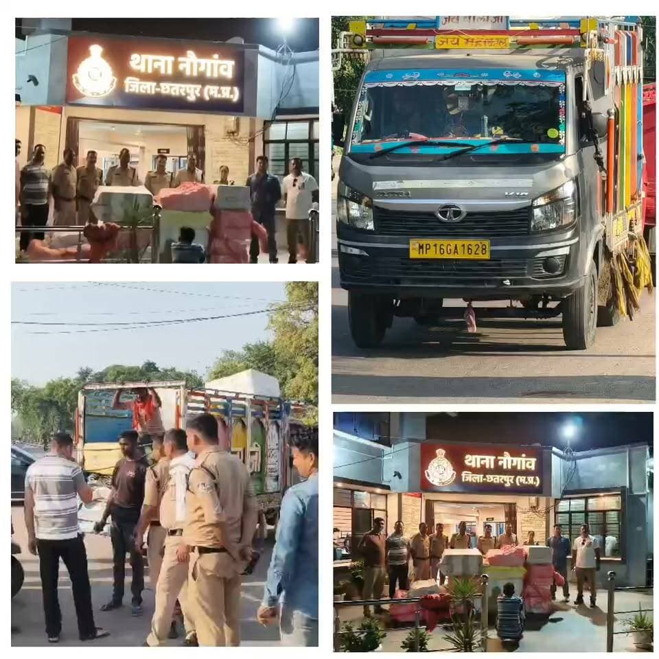 ब्रेकिंग न्यूज़ | छतरपुर
नौगांव पुलिस ने आतिशबाजी से भरा लोडर वाहन किया जब्त
छतरपुर के नौगांव में बापू डिग्री चौराहे पर आतिशबाजी से भरा लोडर वाहन पलटा। झांसी से छतरपुर जा रहा था वाहन, हादसे के बाद मौके पर पहुंची पुलिस ने वाहन और पटाखे किए जब्त। मामले में मऊरानीपुर निवासी जमील खान का नाम सामने आया है। पुलिस जांच में जुटी, पटाखे किसके थे और कहां ले जाए जा रहे थे, इसकी जानकारी जुटाई जा रही है।