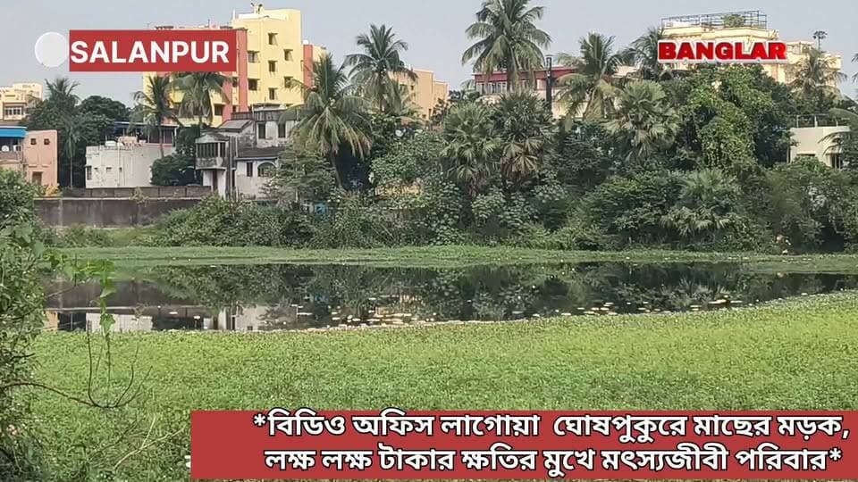 *বিডিও অফিস লাগোয়া ঐতিহ্যবাহী ঘোষপুকুরে মাছের মড়ক, লক্ষ লক্ষ টাকার ক্ষতির মুখে মৎস্যজীবী পরিবার*
#newsasansol #SalanpurNews #kultinews #rupnarayanpur #newsfeed #newstoday #newsupdateシ゚viralシ