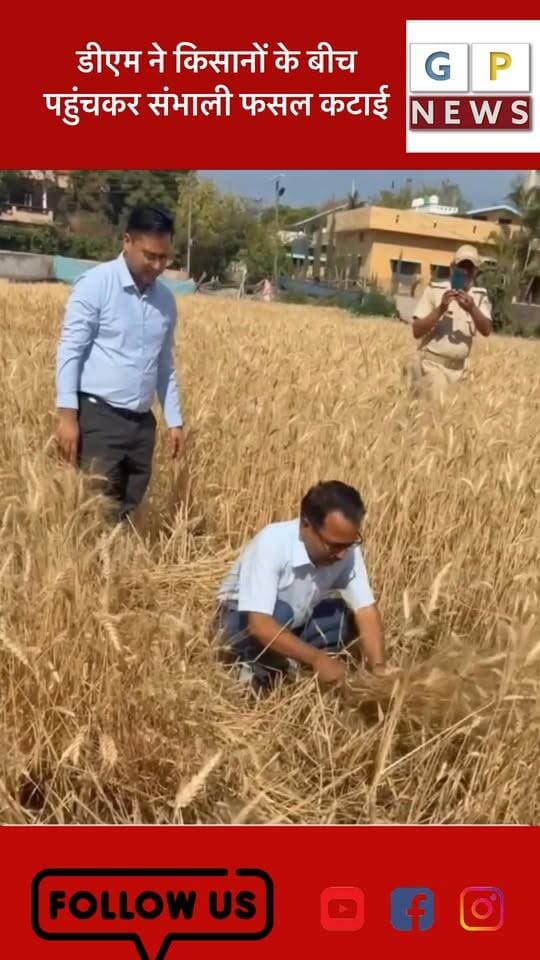 डीएम ने किसानों के बीच पहुंचकर संभाली फसल कटाई #uttarakhandnature #haldwani