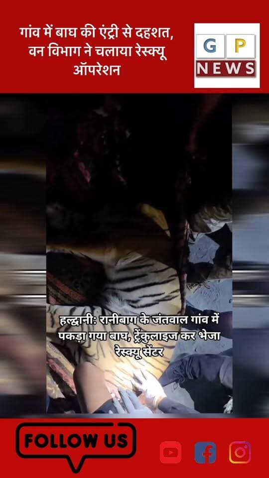 गांव में बाघ की एंट्री से दहशत, वन विभाग ने चलाया रेस्क्यू ऑपरेशन
#TigerAlert #HaldwaniLive #WildlifeRescue #Uttarakhand #BreakingNews