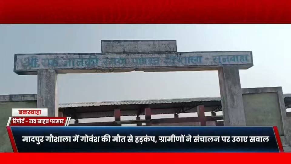 बकस्वाहा के मादपुर गौशाला में गोवंश की मौत से हड़कंप, ग्रामीणों ने संचालन पर उठाए सवाल
