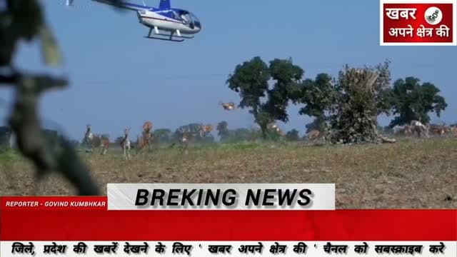 ग्राम गावड़ी में गुरुवार को 141 कृष्णमृगों का सफल रेस्क्यू, अभियान में अब तक 851 कृष्णमृग रेस्क्यू किए गए