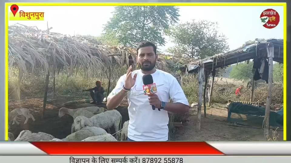 40 भेड़ों की चोरी से मचा हड़कंप, ग्राउंड जीरो से देखिए पूरी रिपोर्ट