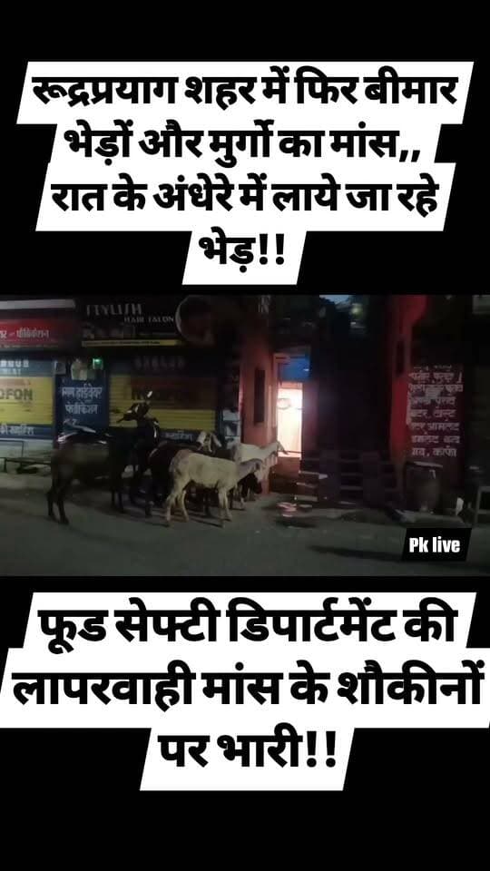 रात के अंधेरे में लाये जा रहे बीमार भेड़! रूद्रप्रयाग शहर में फिर बीमार भेड़ों और मुर्गो का बेचा जा रहा मांस,,
फूड सेफ्टी डिपार्टमेंट की लापरवाही मांस के शौकीनों पर भारी!!