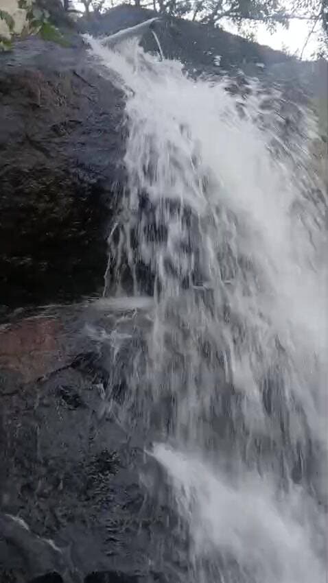 கோவை வடக்கு: கோவையில் கனமழை: கோவிலுக்குள் புகுந்த வெள்ளம்! வைரலாகும் வீடியோ