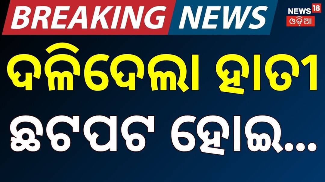 Jajpur Elephant Attack: One Dead in Bandhapalla Village | Odisha News | Odia News | ମାରିଦେଲା ହାତୀ