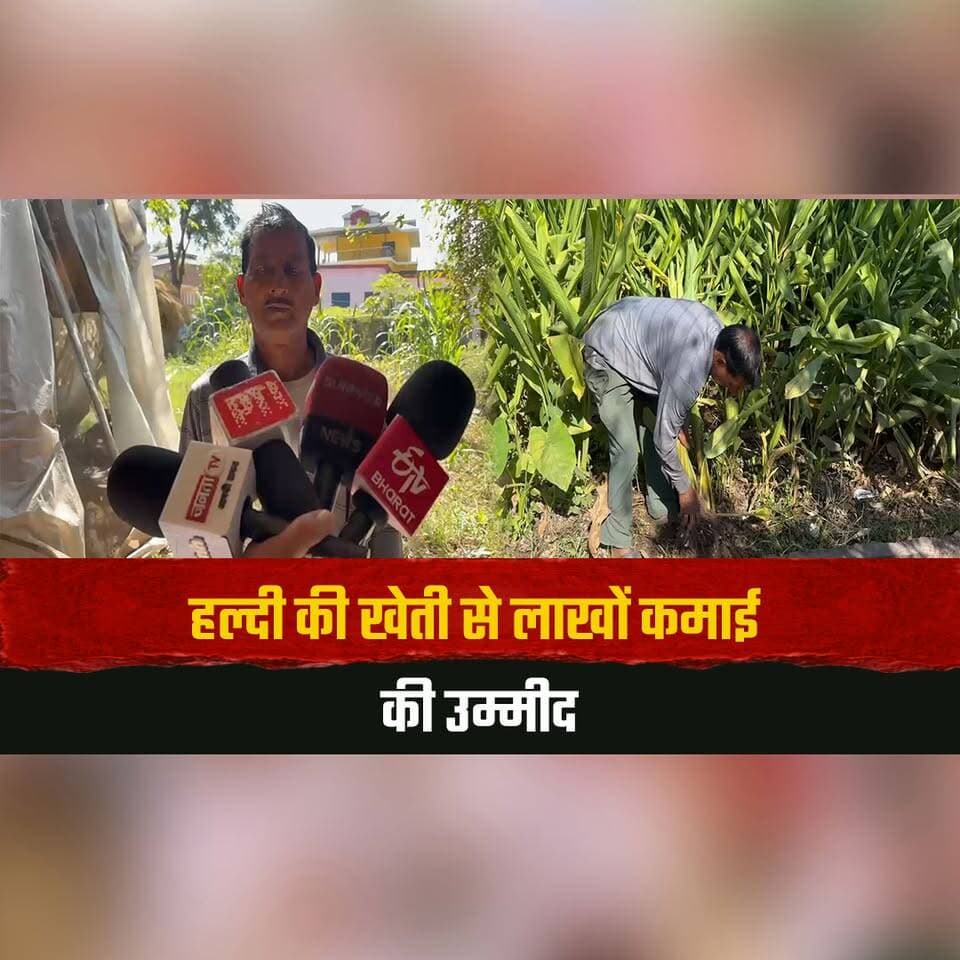 हल्दी की खेती से लाखों कमाई की उम्मीद
करोट के किसान श्यामलाल ठाकुर ने लगाया 6 क्विंटल बीज
#TurmericFarming #ShyamLalThakur #KarotVillage #HimachalFarmers #AgricultureNews #thesummernewshimachal