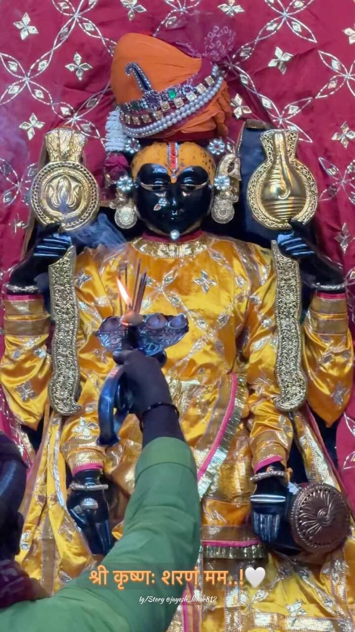 एकादशी शयन आरती दर्शन 🙇🏻♂️
#krishna #radhakrishna #radhe #udaipur #aarti