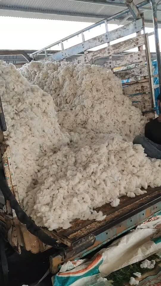 आज धामनोद मंडी में कपास का भाव इस प्रकार रहा,
आज अच्छी क्वालिटी कम होने से ऊपर में अभी तक 9175 तक बिका...
23 अक्टूबर 2026
Dhamnod Mandi Bhav
.
.
.
.
.
.
.
.
.
.
.
.
.
.
.
.
.
.
.
.
.
#dhamnodmandibhav #kapaskabhav #kapaskamandibhav #kapasmandibhav #mandinews