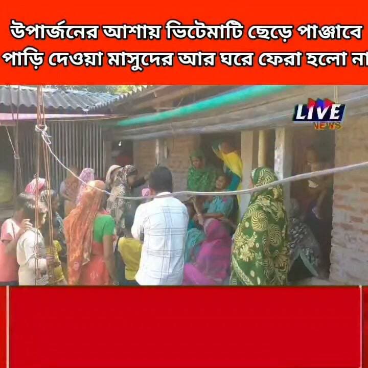 উপার্জনের আশায় ভিটেমাটি ছেড়ে পাঞ্জাবে পাড়ি দেওয়া মাসুদের আর ঘরে ফেরা হলো না