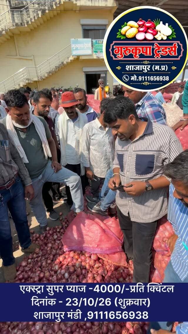 #indoremandibhav #shajapurmandi#mandi#aajkabhav