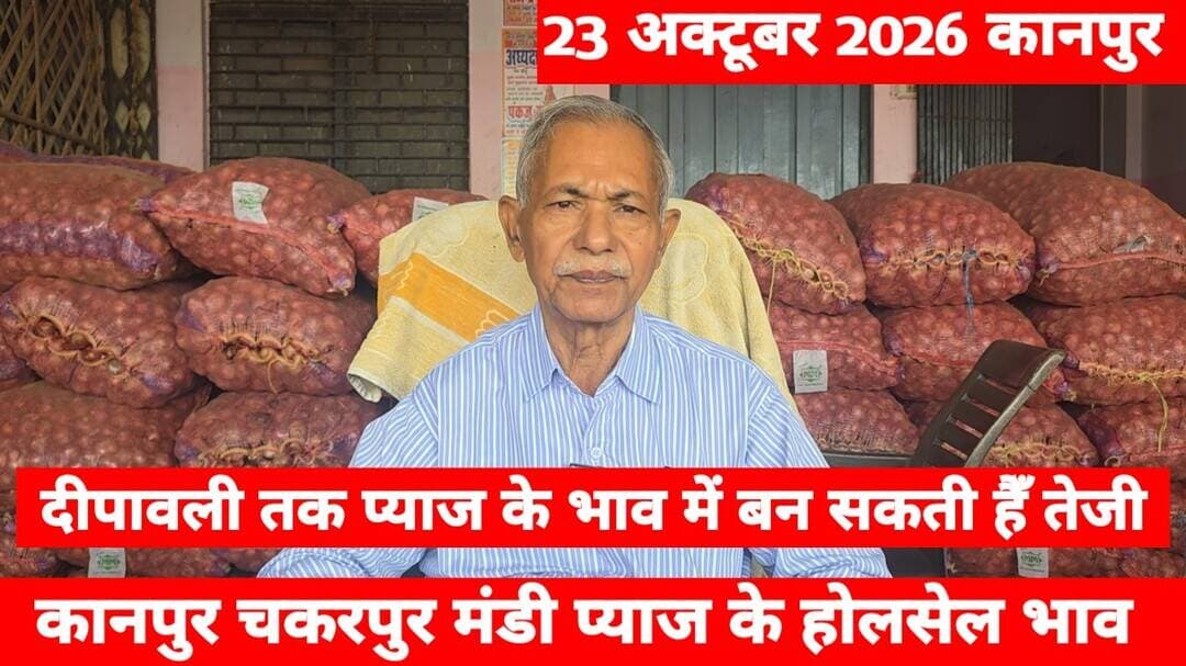 23 October 2026 कानपुर प्याज़ के भावonionreport kanpur #onionmarket kanpur onionmarket price #onion