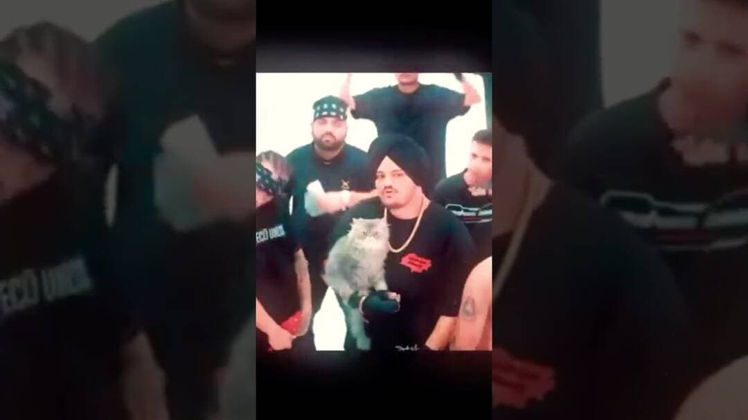 sidhu moosewala vs gangster #sidhumoosewala #sidhu #shorts