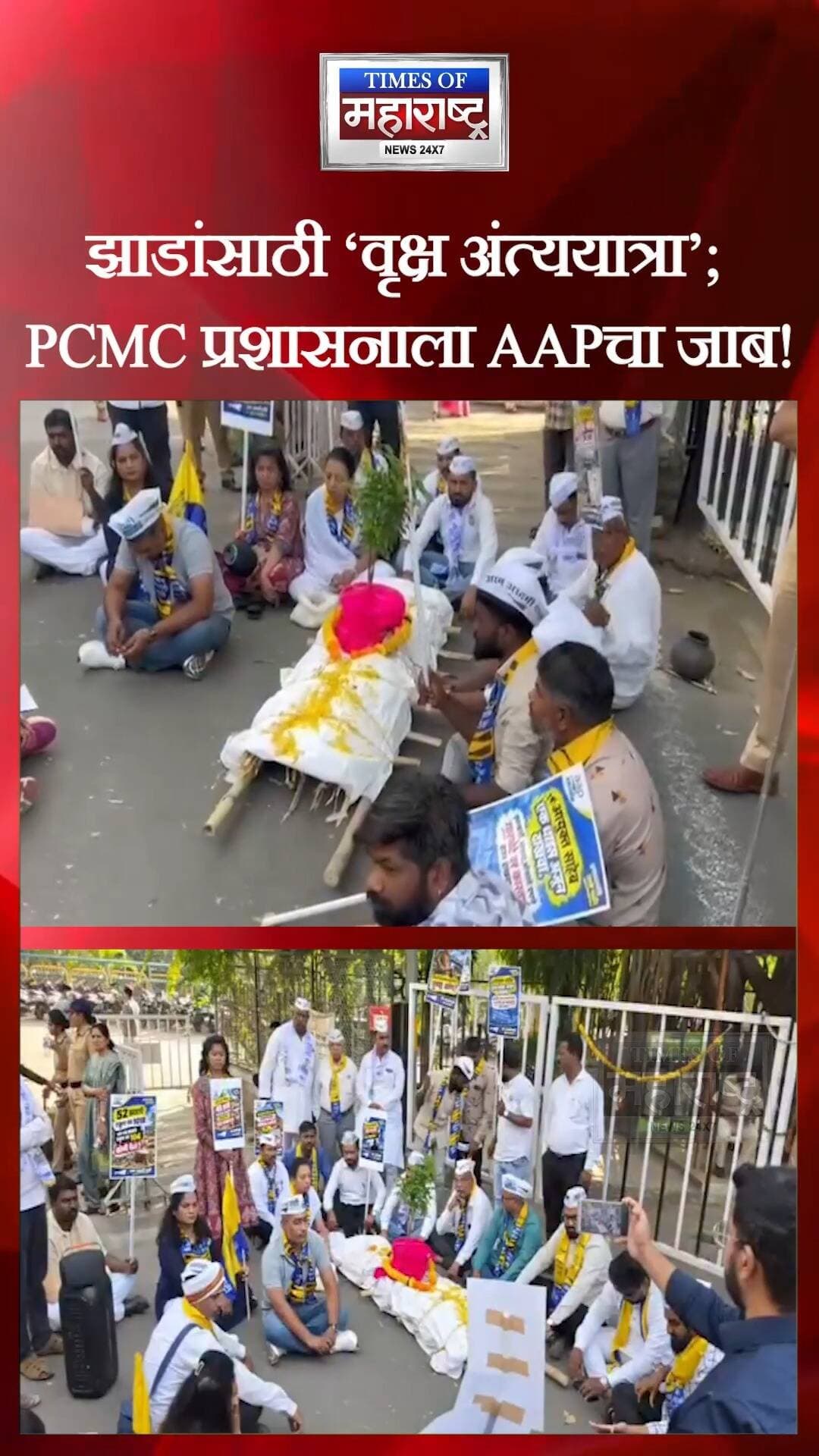 PCMC मुख्यालयाशेजारी वृक्षतोडीविरोधात ‘वृक्ष अंत्ययात्रा’! AAP आक्रमक; बिल्डरवर गुन्हा दाखल करण्याची मागणी
झाडांची कत्तल की पर्यावरणाचा बळी? पिंपरी-चिंचवडमध्ये ‘वृक्ष अंत्ययात्रा’ आंदोलन!
पिंपरी-चिंचवड महानगरपालिका मुख्यालयाशेजारी झालेल्या कथित बेकायदेशीर वृक्षतोडीच्या निषेधार्थ आम आदमी पार्टी (AAP) पिंपरी-चिंचवड शहर आणि महाराष्ट्र राज्य युवक आघाडीच्या वतीने गुरुवारी, २२ ऑक्टोबर रोजी ‘वृक्ष अंत्ययात्रा’ आंदोलन करण्यात आले.
🌳 नेमका आरोप काय?
महापालिका मुख्यालयाशेजारील बांधकाम प्रकल्पासाठी ५२ पेक्षा अधिक जुन्या वृक्षांची संख्या आणि वय कागदपत्रांमध्ये कमी दाखवून बेकायदेशीर वृक्षतोड करण्यात आल्याचा आरोप आम आदमी पार्टीने केला आहे. तसेच, बांधकाम व्यावसायिकाला फायदा मिळवून देण्यासाठी वृक्ष प्राधिकरणाच्या मूळ अहवालात फेरफार झाल्याचाही आरोप पक्षाने केला आहे.
आंदोलनकर्त्यांनी बांधकाम व्यावसायिक सुखवानी असोसिएट्स �