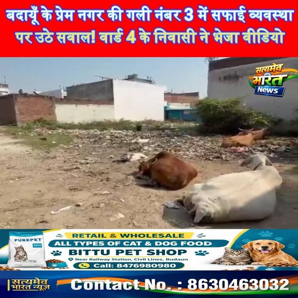 बदायूँ के प्रेम नगर की गली नंबर 3 में सफाई व्यवस्था पर उठे सवाल! वार्ड 4 के निवासी ने भेजा वीडियो #BudaunNews #BudaunNagarPalika #PremNagar #SafaiVyavastha सत्यमेव भारत न्यूज Lav Rajput Rana Tejan Rastogi