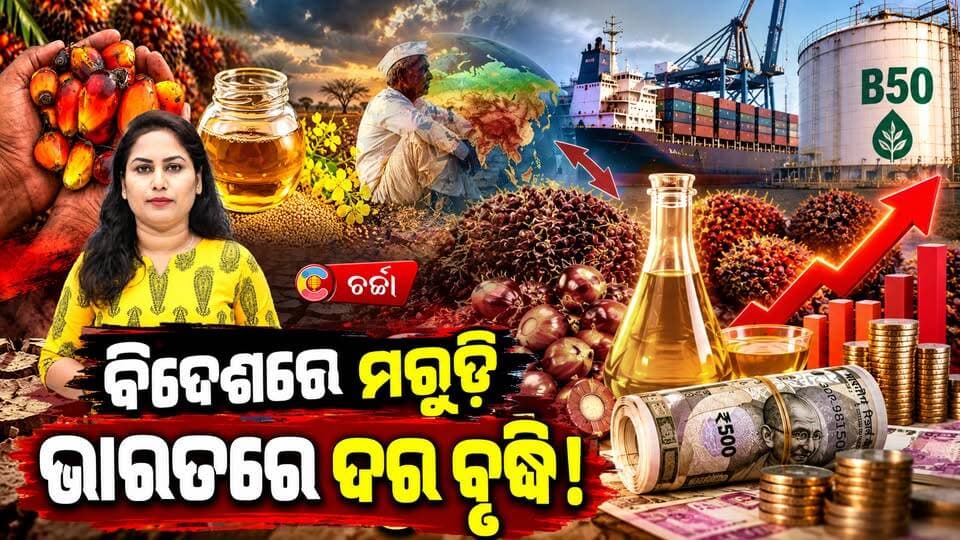 ରୋଷେଇ ଘରେ ଆଗକୁ କିଛି ଦିନ ମଧ୍ୟରେ ହେବାକୁ ଯାଉଛି ଖାଇବା ତେଲ ମହାଙ୍ଗା ମାଡ଼, କାହିଁକି ଜାଣନ୍ତୁ!ll CharchaTv #oil #oilcrises #indianfood #edibleoils #pricehike