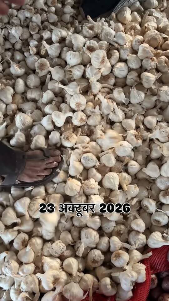 #viralreels #viralreelsvideo #trending #reelkarofeelkaro #mandibhavkalapipal