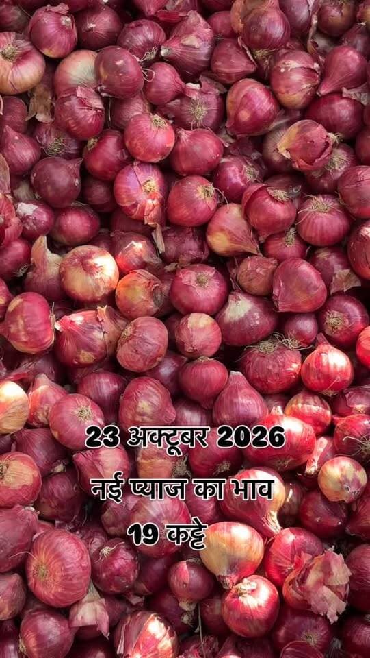 #viralreels #viralreelsvideo #trending #reelkarofeelkaro #mandibhavkalapipal