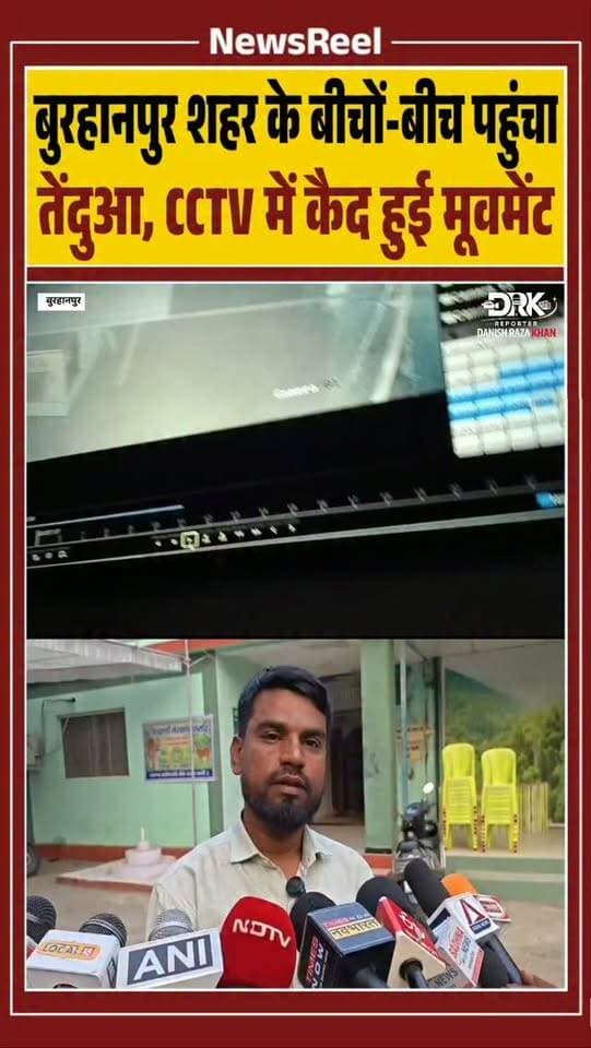 बुरहानपुर के सिंधी बस्ती बायपास पर तेंदुए की मूवमेंट मैरिज गार्डन के सीसीटीवी कैमरे में कैद हुई। सूचना पर वन विभाग ने सर्चिंग शुरू की है। तेंदुए के पगमार्ग नहीं मिलने से कैमरों की जांच की जा रही है।
#trending #viral #burhanpur #instagood #newsreel