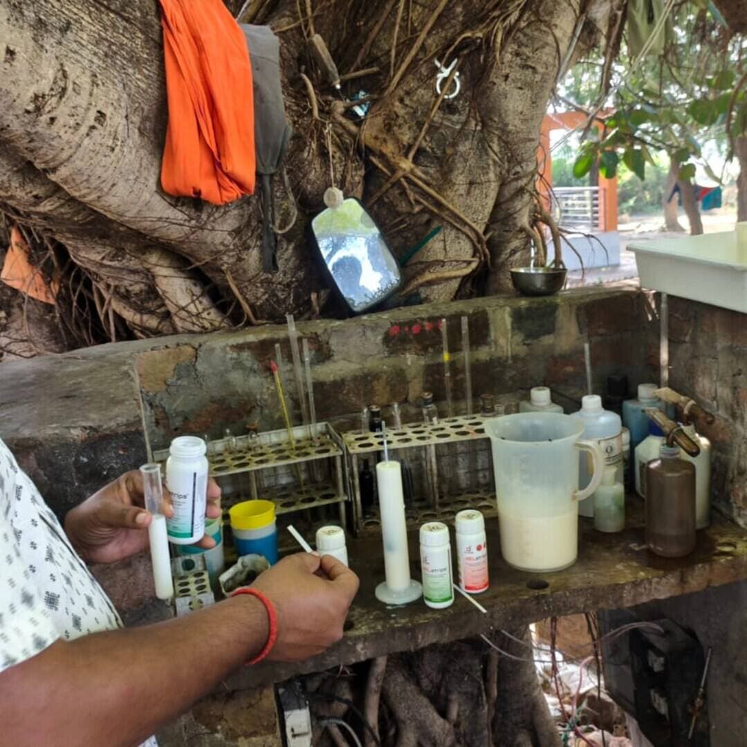 मुरैना: त्योहारों से पहले डेयरियों से दूध के सैंपल लिए
मुरैना जिले के अंबाह में खाद्य सुरक्षा विभाग ने आनंद डेयरी, राधेकृष्ण डेयरी और विश्वर डेयरी से दूध एवं दुग्ध उत्पादों के नमूने लेकर जांच के लिए भोपाल भेजने की कार्रवाई की। विभाग ने बताया कि त्योहारों के मद्देनजर जांच अभियान जारी रहेगा।