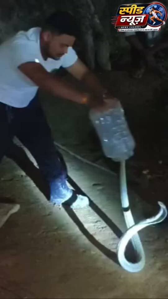 करोड़ों के दुर्लभ सांप की तस्करीको सर्परक्षक टीम ने किया नाकाम #viral #snake #cg #raigarh #snakes