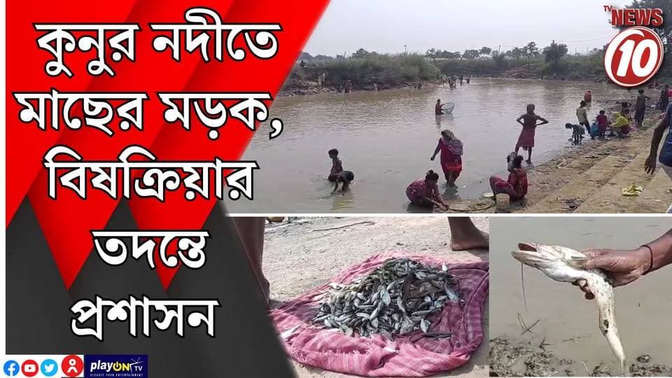 কুনুর নদীতে মাছের মড়ক, বিষক্রিয়ার তদন্তে প্রশাসন || পূর্ব বর্ধমান || #tvnews10 #LocalNews #follower #BJPNEWS #TMCNEWS #congress