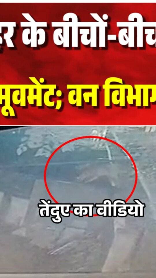 बुरहानपुर शहर के बीचों-बीच पहुंचा तेंदुआ, CCTV में कैद हुई मूवमेंट; वन विभाग की सर्चिंग जारी
#burhanpur #trending #viral #breakingnews