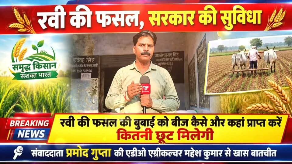 गेहूं की वुबाई शुरू होने से पहले सरकार ने गोदामों पर उपलब्ध कराया गेहूं का बीज, समझिए कैसे मिलेगा किसान को आधी कीमत पर बीज, #agriculture #farmers #गेहूं