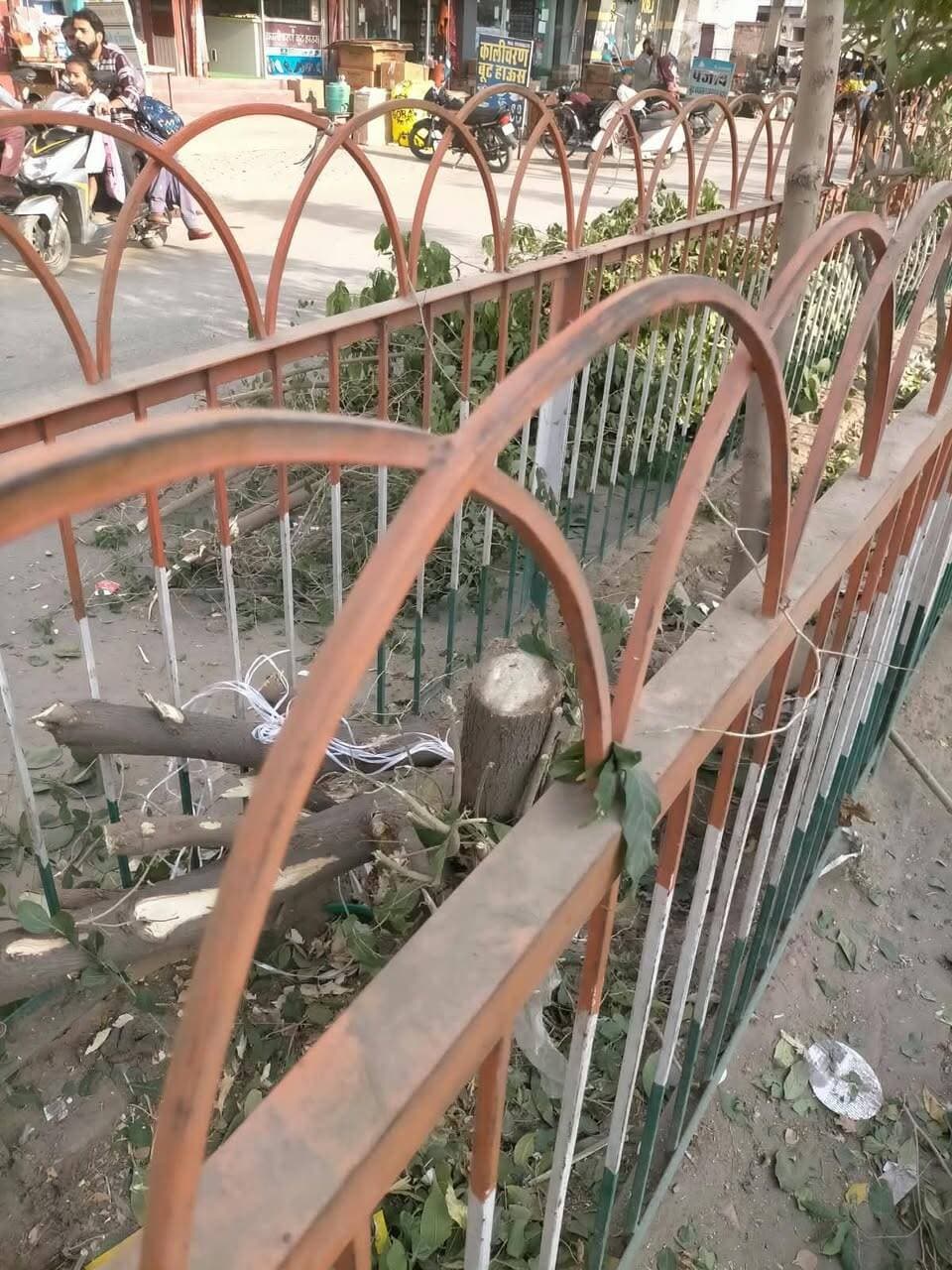 पीलीबंगा में छंगाई के नाम पर पेड़ों की कटाई पर विवाद: पर्यावरण प्रेमियों ने सौंपा ज्ञापन, अधिकारियों ने दिए जांच व कार्रवाई के निर्देश।
#lalbahadirbhakhar #pilibanganews #hanumangarh #RajasthaNews #पर्यावरण_सरंक्षण #पेड़ों_की_अवैध_कटाई
पीलीबंगा (हनुमानगढ़) लालबहादुर भाखर :+
पीलीबंगा: नगर पालिका क्षेत्र में पेड़ों की छंगाई अभियान के दौरान हरे-भरे पेड़ों को जड़ से काटे जाने के मामले ने तूल पकड़ लिया है। पर्यावरण प्रेमियों का आरोप है कि पालिका प्रशासन द्वारा अपने चहेतों के कहने पर कई स्थानों पर नियमों को ताक पर रखकर पेड़ों की अंधाधुंध कटाई कर दी गई है। इस संबंध में उपखंड अधिकारी को ज्ञापन सौंपकर दोषियों के खिलाफ सख्त कदम उठाने की मांग की गई है।
पर्यावरण प्रेमी रामेश्वर लाल बिश्नोई ने गहरा आक्रोश व्यक्त करते हुए गुरु जम्भेश्वर भगवान के अमर संदेश "सिर साठे रूंख रहे तो भी सस्तो जाण" का स्मरण कराया। उन्होंने कहा कि बढ़ते प्रदूषण और ग्लोबल वॉर्मिंग के मौजूदा दौर में पेड़ों का संरक्षण अत्यंत आवश्यक है। हरियाली को नुकसान पहुंचाना भविष्य की पीढ़ियों के जीवन के साथ खिलवाड़ है।
यह कहना है इनका:- अमर कुमार (अधिशासी अधिकारी, नगर पालिका पीलीबंगा) पालिका क्षेत्र में केवल पेड़ों की छंगाई का कार्य चल रहा है, जिसके तहत केवल छोटी टहनियों व शाखाओं को ही काटा गया है। इससे पहले बिजली विभाग द्वारा भी व्यवस्था बनाए रखने हेतु छंगाई की गई थी। यदि किसी स्थान पर पेड़ को जड़ के पास से काटा गया है, तो मामले की निष्पक्ष जांच कर आवश्यक कार्रवाई की जाएगी।
यह कहना है इनका:-
उमा मित्तल (उपखंड अधिकारी, पीलीबंगा): ज्ञापन प्राप्त हुआ है। यदि नियमाविरुद्ध जाकर पेड़ों को जड़ से काटा गया पाया जाता है, तो नियमानुसार सख्त विधिक कार्रवाई अमल में लाई जाएगी।
वही पर्यावरण प्रेमी रामेश्वर धारणिया ने कहा कि पर्यावरण संरक्षण पर संदेश> "वृक्ष धरा का आभूषण हैं और जीवन की डोर।" पेड़ केवल लकड़ी और छाया नहीं, बल्कि हमें प्राणवायु (ऑक्सीजन) देने वाले प्राकृतिक संवाहक हैं। विकास और प्रशासनिक व्यवस्थाओं के बीच प्रकृति की अनदेखी आने वाली पीढ़ियों के लिए संकट पैदा कर सकती है। पर्यावरण की रक्षा केवल शासन या किसी एक वर्ग का नहीं, बल्कि हम सभी का नैतिक दायित्व है।
