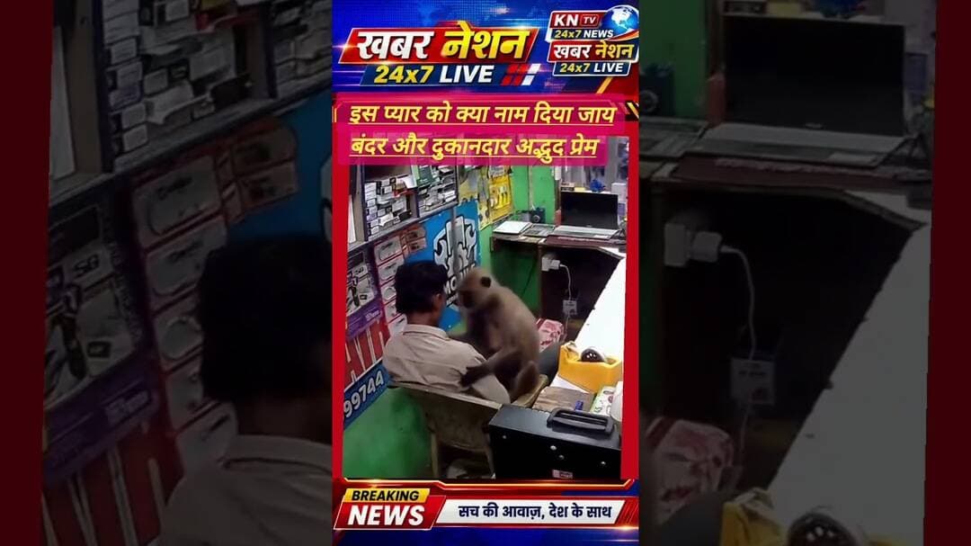 दुकानदार को गले लगाने पहुंचा बंदर! वायरल वीडियो देख भावुक हुए लोग #imotional vidio