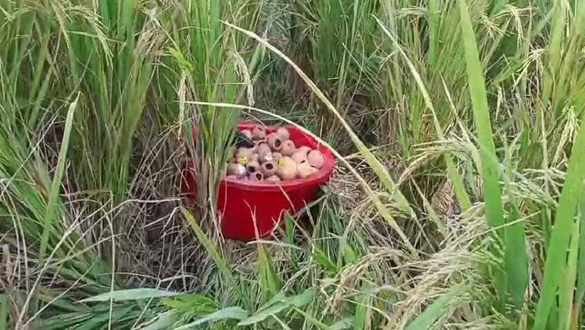 गोरेयाकोठी: सीवान के आलमपुर में भीषण बम विस्फोट के बाद प्रशासन सख्त, अवैध पटाखा फैक्ट्रियों पर छापे