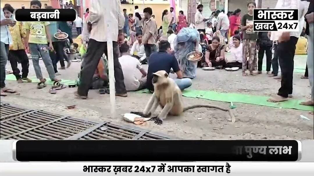 मां कालिका माता मंदिर के भंडारे में श्रद्धालुओं के बीच पहुंचा वानरराज,बैठकर प्रसादी की ग्रहण