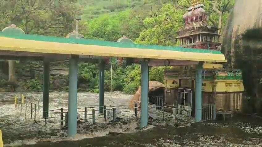 உடுமலைபேட்டை: உடுமலை திருமூர்த்தி மலை: பஞ்சலிங்க அருவியில் வெள்ளம் - கோயில் நடை சாதிப்பு!