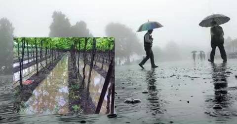 कुर्ला: बंगालच्या उपसागरातील हालचालींमुळे 10 राज्यांमध्ये पाऊस आणि 60 किमी वेगाने वारे
