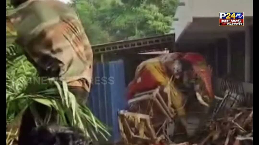 कर्नाटक के शिवमोग्गा में दशहरा उत्सव में अफरातफरी मच गई चांदी की अंबारी उठाए हाथी सोमन्ना दौड़ने लगा
