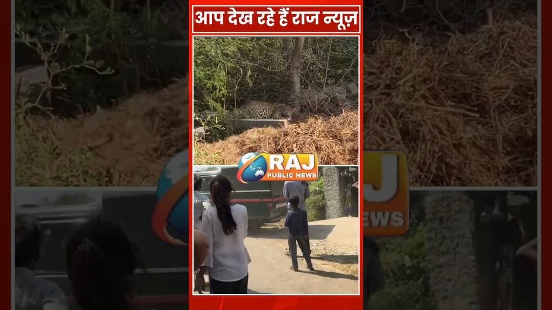 #बेगूं l खेत पर लोहे की जाली में फंसा पैंथर, किया सुरक्षित रेस्क्यू...