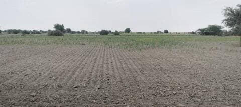 भोपालगढ़: जोधपुर की 7 तहसीलें अभावग्रस्त घोषित, भोपालगढ़ बाहर रह गया