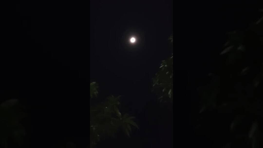 #शरद_पूर्णिमा की रात का चाँद। #sharadpurnima #sharadpoornima #moon #moonlight