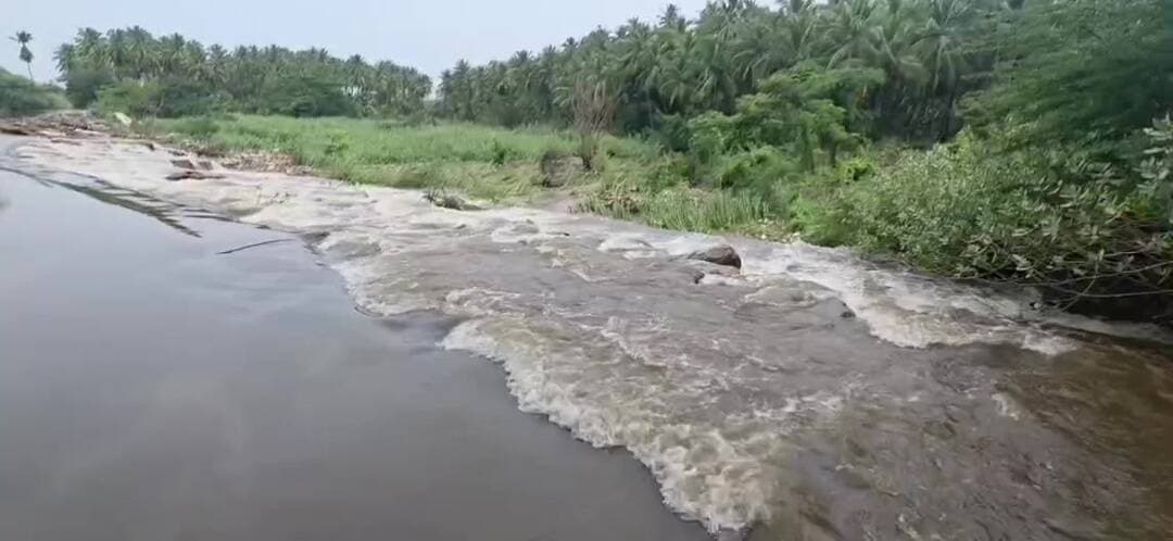 பெரியகுளம்: தேனி: வராக நதியில் வெள்ளப்பெருக்கு - சிந்துவம்பட்டியில் எம்.எல்.ஏ ஆய்வு