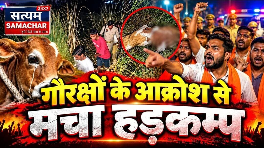 मैनपुरी/UP - नवजात गोवंश की दुर्दशा पर भड़के को रक्षा संगठन के लोग