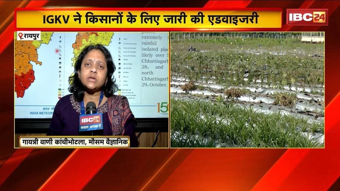 Raipur News: IGKV ने किसानों के लिए जारी की Advisory | धान, दलहन, तिलहन की कटाई रोकने की दी सलाह
